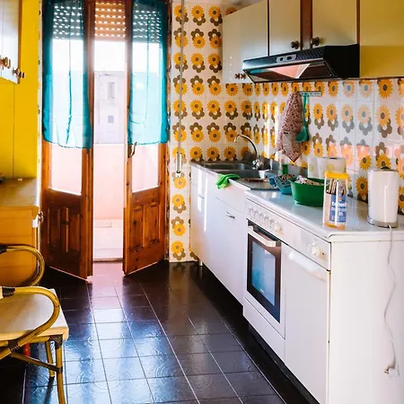 Seashell Serenity *